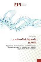 Tawfiq Chekifi - La microfluidique de goutte