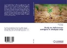 R S Singh, R. S. Singh, SAURAB SINGH, Saurabh Singh - Study on Helicoverpa armigera in chickpea crop