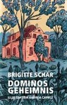 Brigitte Schär, Andrea Caprez - Dominos Geheimnis