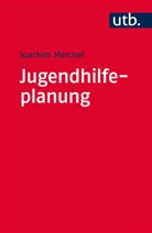 Joachim Merchel, Joachim (Prof. Dr.) Merchel - Jugendhilfeplanung