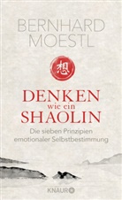 Bernhard Moestl - Denken wie ein Shaolin