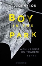 A J Grayson, A. J. Grayson - Boy in the Park - Wem kannst du trauen?
