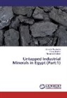 Mostaf AbuKhadra, Mostafa AbuKhadra, Suza Ibrahim, Suzan Ibrahim, Mohamed Shahien - Untapped Industrial Minerals in Egypt (Part:1)