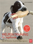 Julia Numssen, Julia Numssen - Welpen-Training für Jagdhunde
