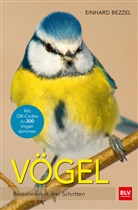Einhard Bezzel, Einhard (Dr.) Bezzel - Vögel