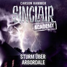 Carson Hammer, Thomas Balou Martin - Sinclair Academy - Sturm über Arbordale, 2 Audio-CDs (Hörbuch)