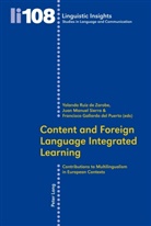 Francisco Gallardo Del Puerto, Yolanda Ruiz de Zarobe, Juan Manuel Sierra - Content and Foreign Language Integrated Learning