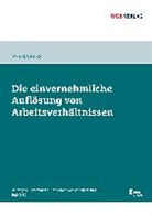 Verena Ruß - Die einvernehmliche Auflösung von Arbeitsverhältnissen (f. Österreich)