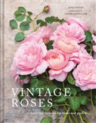 Jane Eastoe, Eastoe Jane, Georgianna Lane, Georgianna Lane, Lane Georgianna - Vintage Roses