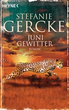 Stefanie Gercke - Junigewitter