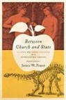 James W Fraser, James W. Fraser, James W. (Professor of History and Educati Fraser, James W. (Professor of History and Education Fraser - Between Church and State