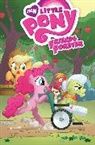 Tony Fleecs, Brenda Hickey, Barbara Kesel, Barbara Randall Kesel, Barbara Randall-Kesel, Christina Rice... - My Little Pony: Friends Forever Volume 7