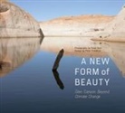 Peter Friederici, Peter Goin, Peter/ Friederici Goin, Peter Goin - A New Form of Beauty