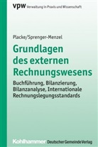 Fran Placke, Frank Placke, Frank (Prof. Dr. Placke, Michael Sprenger-Menzel, Michael T. P. Sprenger-Menzel, Michael Th P Sprenger-Menzel... - Grundlagen des externen Rechnungswesens