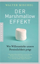 Walter Mischel - Der Marshmallow-Effekt