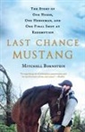 Mitchell Bornstein - Last Chance Mustang