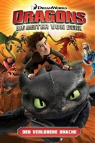 DreamWorks, Simon Furman - Dragons - die Reiter von Berk: Der verlorene Drache