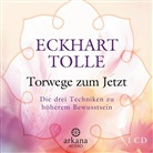 Eckhart Tolle, Eckhart Tolle - Torwege zum Jetzt, 1 Audio-CD (Audiolibro)