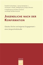 Hardecker, Geor Hardecker, Georg Hardecker, Wolfgang Ilg, Katja Lißmann, Chri Maass... - Konfirmandenarbeit erforschen und gestalten - 8: Jugendliche nach der Konfirmation