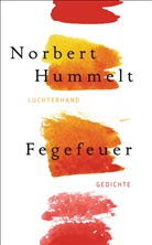 Norbert Hummelt - Fegefeuer