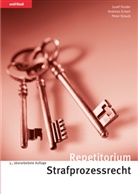 Andreas Eckert, Peter Straub, Josef Studer - Repetitorium Strafprozessrecht