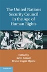 Jared Genser, Jared Stagno Ugarte Genser, Jared Genser, Genser Jared, Bruno Stagno Ugarte, Stagno Ugarte Bruno - United Nations Security Council in the Age of Human Rights
