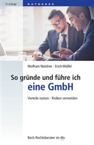 Wolfram Waldner, Erich Wölfel - So gründe und führe ich eine GmbH