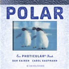 Dan Kainen, Carol Kaufmann - Polar