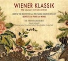 Ludwig van Beethoven, Die Freitagsakademie, Wolfgang Amadeus Mozart - Wiener Klassik, 1 Audio-CD (Livre audio)