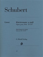 Franz Schubert, Paul Mies, Hans-Martin Theopold - Franz Schubert - Klaviersonate a-moll op. post. 164 D 537