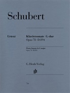 Franz Schubert, Paul Mies, Hans-Martin Theopold - Schubert, Franz - Klaviersonate G-dur op. 78 D 894