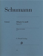 Robert Schumann, Wolfgang Boetticher, Ernst Herttrich - Robert Schumann - Allegro h-moll op. 8