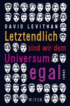 David Levithan - Letztendlich sind wir dem Universum egal