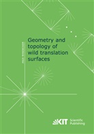 Anja Randecker - Geometry and topology of wild translation surfaces