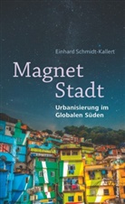 Einhard Schmidt-Kallert - Magnet Stadt