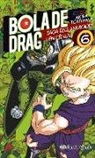 Akira Toriyama - Bola de Drac color, Cèl·lula 6