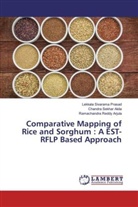 Chandra Sekha Akila, Chandra Sekhar Akila, Arj, Ramachandra Reddy Arjula, Lekkal Sivarama Prasad, Lekkala Sivarama Prasad - Comparative Mapping of Rice and Sorghum : A EST-RFLP Based Approach