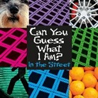 J P Percy, J.P. Percy, Jp Percy - Can You Guess What I Am?: In the Street