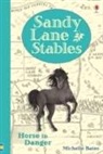 Michelle Bates - Sandy Lane Stables ; Horse in Danger