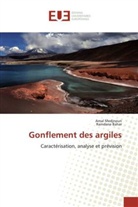Ramdane Bahar, Amal Medjnoun - Gonflement des argiles