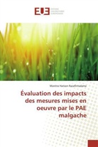 Manitra Harison Razafintsalama - Évaluation des impacts des mesures mises en oeuvre par le PAE malgache