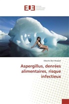 Elbechir Ben Mosbah - Aspergillus, denrées alimentaires, risque infectieux