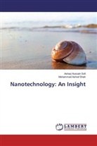 Mohammad Ashraf Shah, Ashaq Hussai Sofi, Ashaq Hussain Sofi - Nanotechnology: An Insight