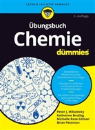 Katherin Brutlag, Katherine Brutlag, Michel Gilman, Michelle Rose Gilman, Pete Mikulecky, Peter Mikulecky... - Übungsbuch Chemie für Dummies