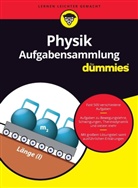 Tobias Schwaibold, Wiley - Physik Aufgabensammlung für Dummies