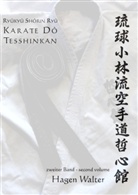 Hagen Walter - Ryûkyû Shôrin Ryû Karate Dô Tesshinkan 2