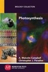 A. Malcolm Campbell, Christopher J. Paradise - Photosynthesis