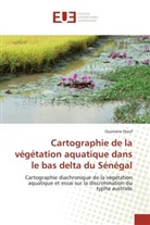 Ousmane Diouf - Cartographie de la végétation aquatique dans le bas delta du Sénégal