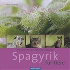 Petra Pawletko - Spagyrik für Tiere