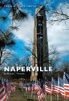 Jo Fredell Higgins - Naperville